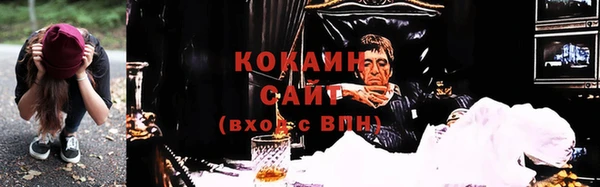 ГАЛЛЮЦИНОГЕННЫЕ ГРИБЫ Баксан