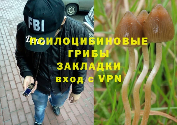 ГАЛЛЮЦИНОГЕННЫЕ ГРИБЫ Баксан