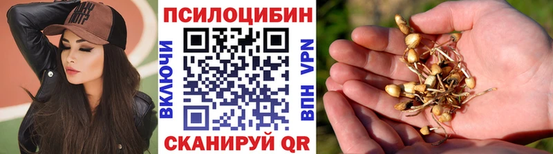сколько стоит  KRAKEN ONION  Галлюциногенные грибы мицелий  Сковородино 