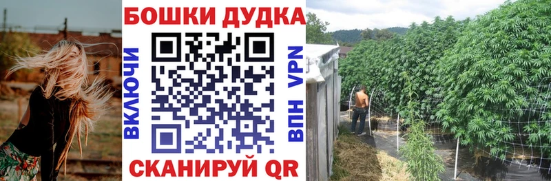 Бошки Шишки марихуана Сковородино